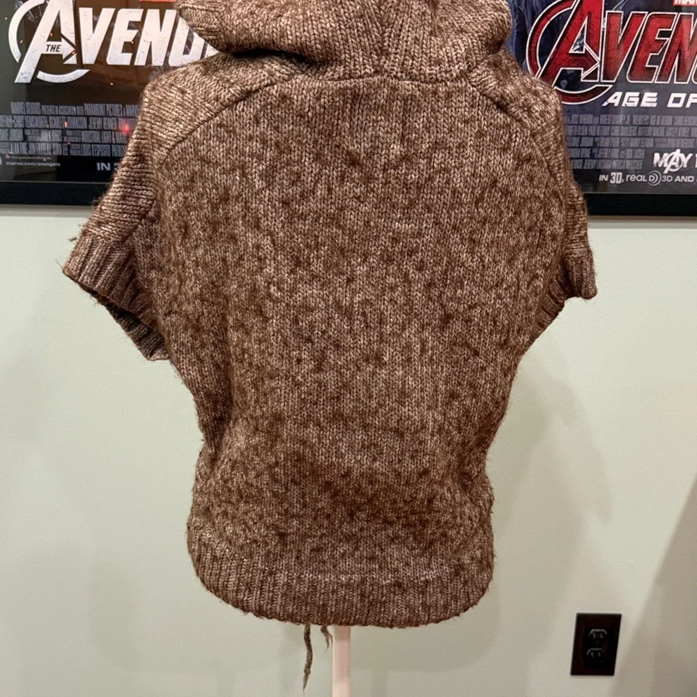 American Eagle Outfitters hooded sweater - Picture 3 of 6